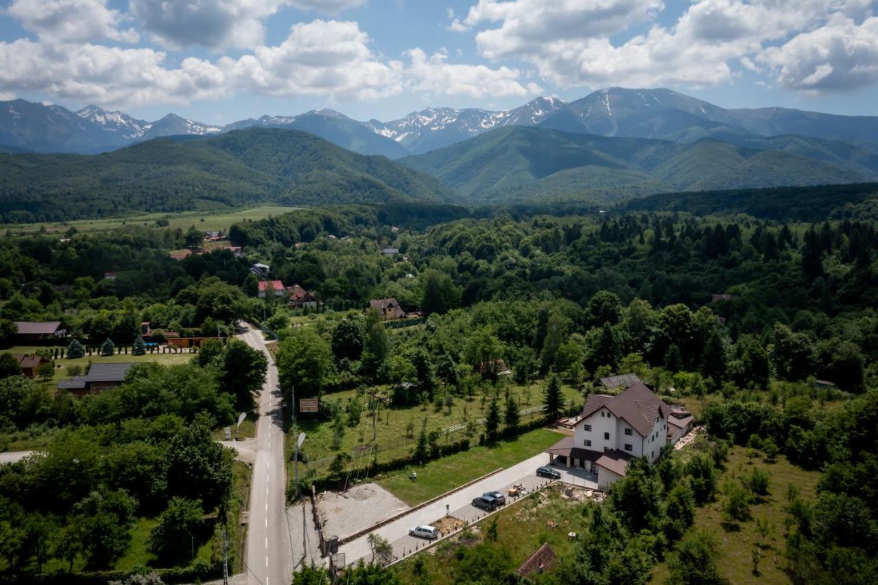 Evergreen Chalet Avrig Exterior foto